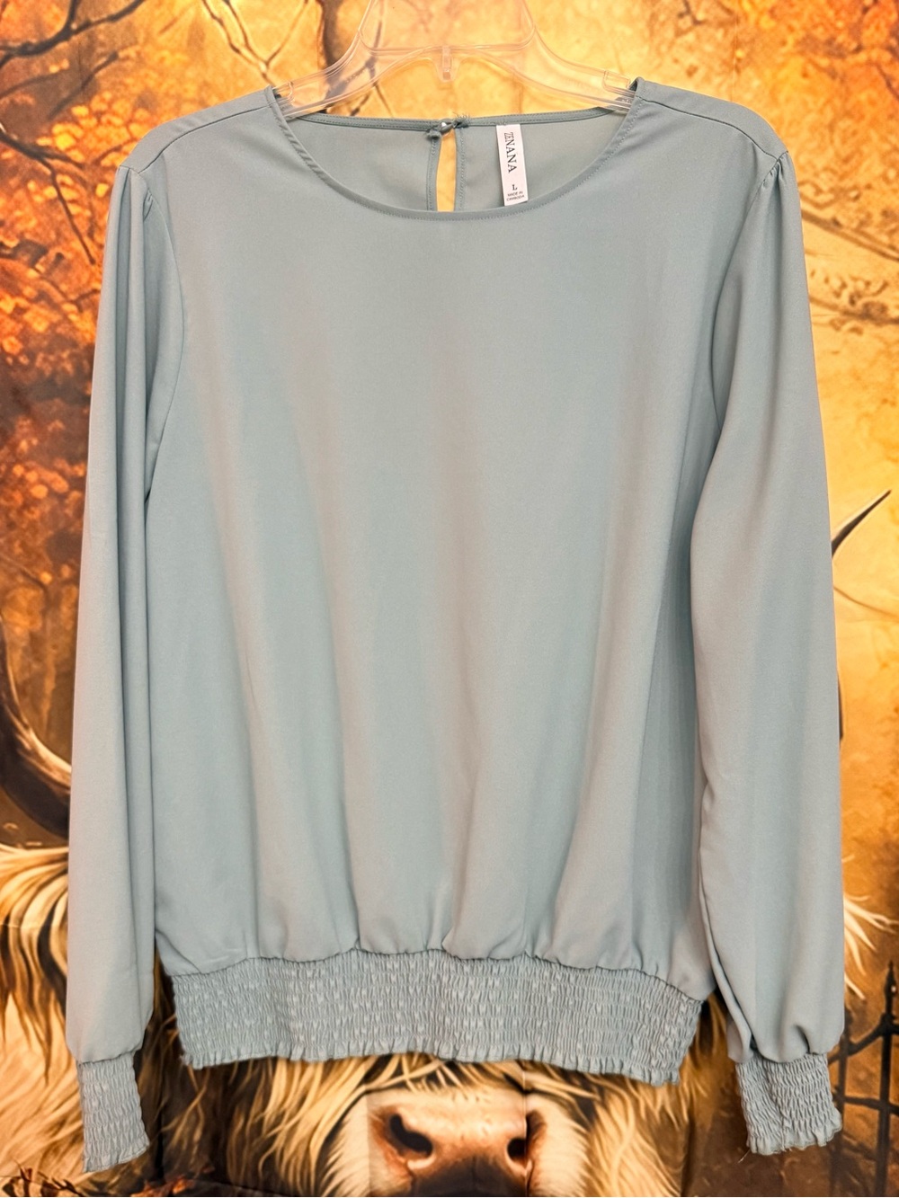 Women's Light Sage Long-Sleeve Blouse by Zenana